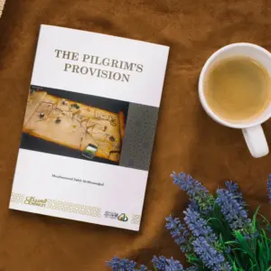 THE PILGRIM'S PROVISION PDF